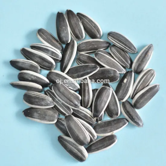 Dried Style and Raw Processing Type new crop sunflower seeds 5009