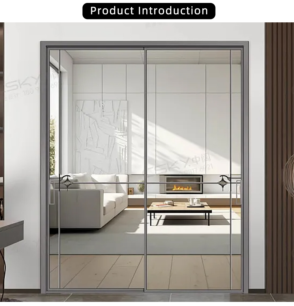 Modern Double Panel Single Glass Sliding Door YJ-R014 X