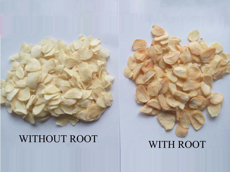 Garlic Flaeks without Root compare with Root