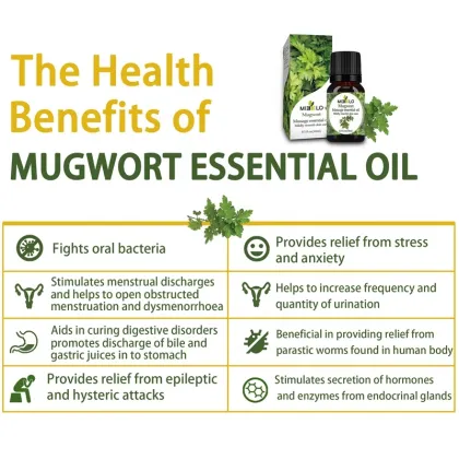 pure organic mugwort essential oils