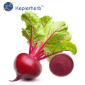 Beet Root Extract Powder