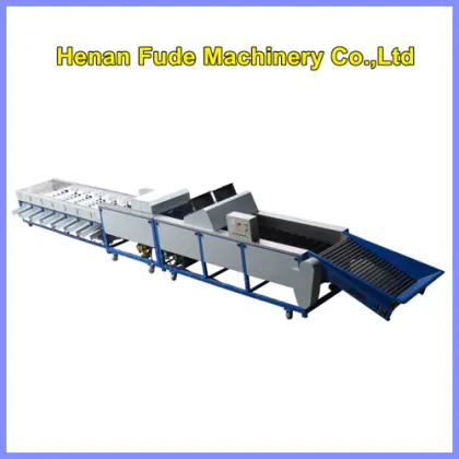 Mango sorting line, mango sorting machine