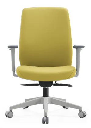 Cloth chair leisure chair