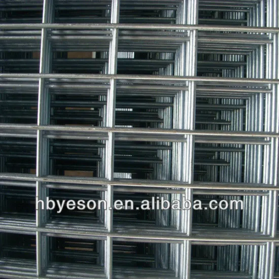 Net roll galvanized/Welded mesh wall panel/net roll plastic coated