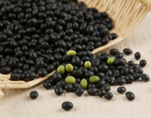 Beneficios para la salud de los frijoles negros