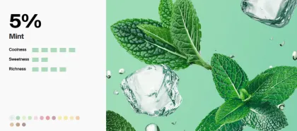 Vape Pod Snow Plus Puff Plus 300 puffs