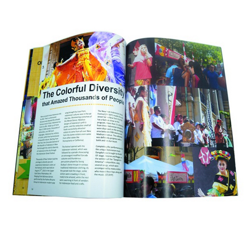 Full Color Offset Printing Journal Magazine