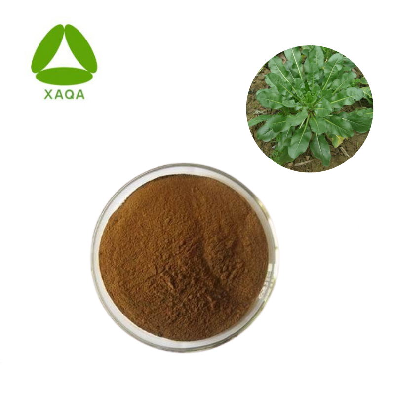 Folium Isatidis Extract 98% Indirubin 479-41-4