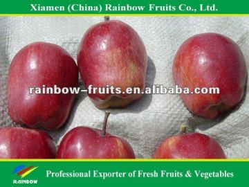 Apple Exporters