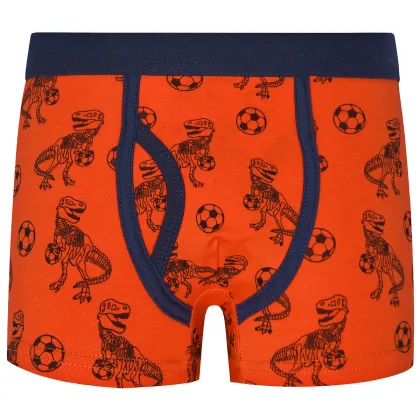 Custom Print Boxers for Kids Boys - BSCI OEM Manufacturer Wholesale 110-140 Size Cotton Underwear