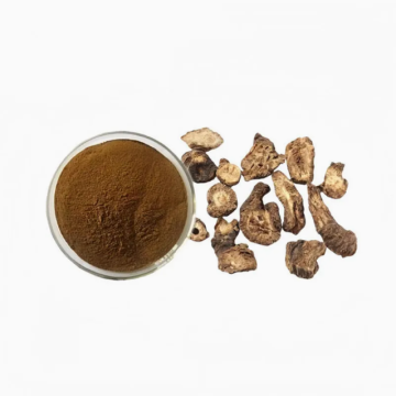 Notopterygium Extract Notopterygium Root Extract Powder