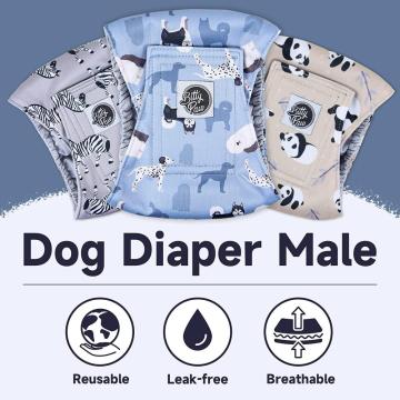 Pañales masculinos para perros