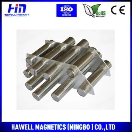 Hote sale neodymium magnetic round grid