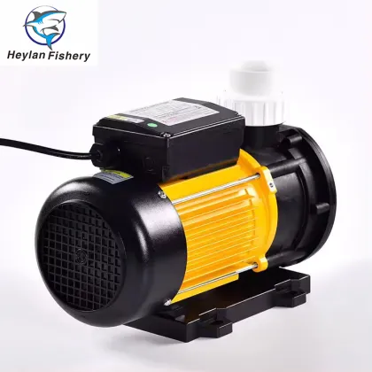 RAS Aquaculture Sea Water Pump - Seawater Plastic Pump with AC Motor