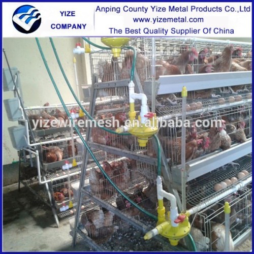 folding chicken cage/chicken cage design/battery chicken cage