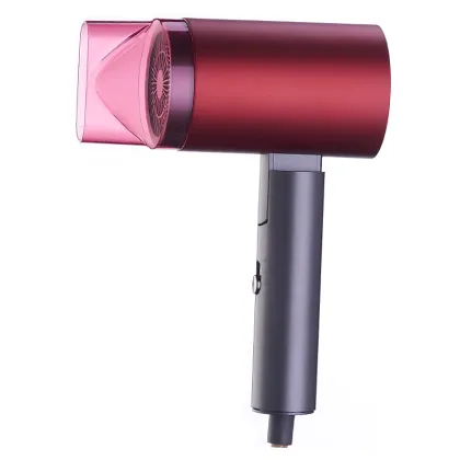 2200W Pro Hair Dryer with Diffuser and DC Motor