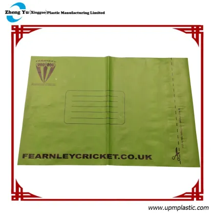 Custom Logo Express PE Mailing Bags