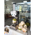 Coconut Peeling Machine Tender Coconut Trimming Machine