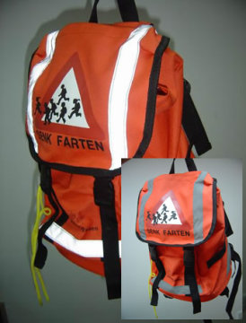 Reflective Bag Pack