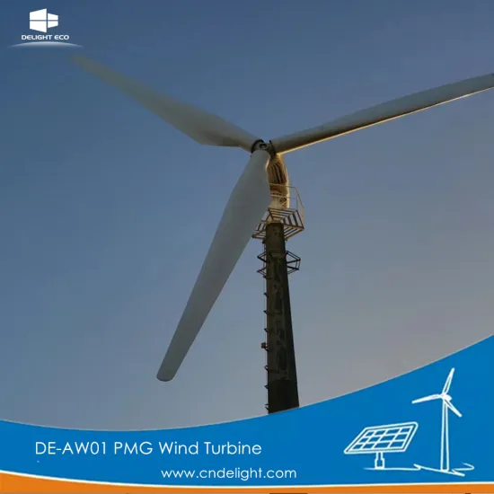 DELIGHT PMG Permanent Magnet Wind Turbine Generator Home