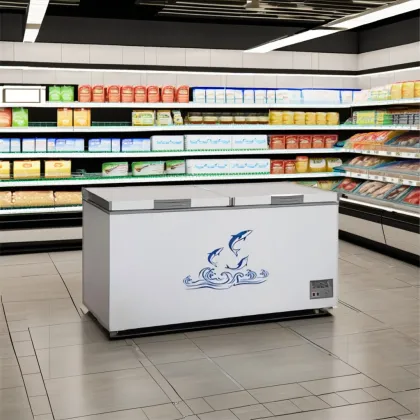 Double Temperature Ultra Low Temperature 1000 Liter Deep Freezer