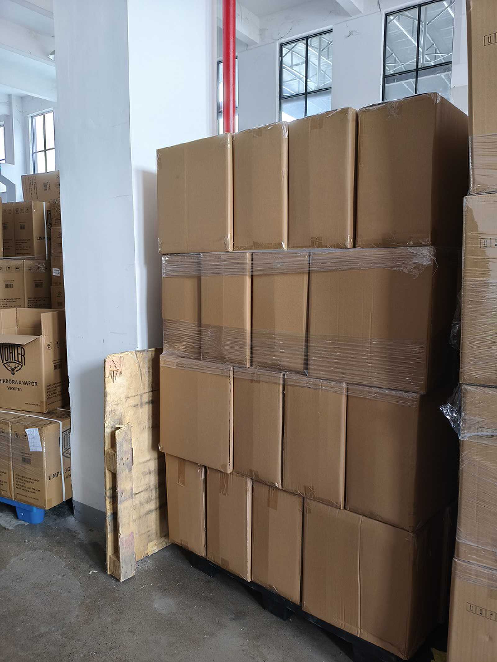 Chinese-made, high-quality steam cleaners successfully delivered to a Dutch customer in Europe
