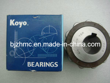 Koyo Japan Brand Eccentric Bearing/ Cylindrical Eccentric Bearing (500752908)