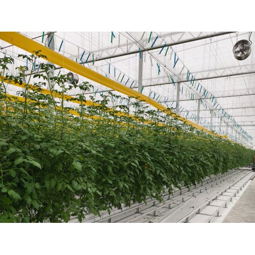 Hanging Vertical Cultivation System