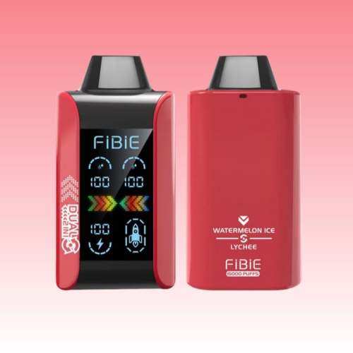 Fibie Dual Flavours 15000 Puff Disposable Vape