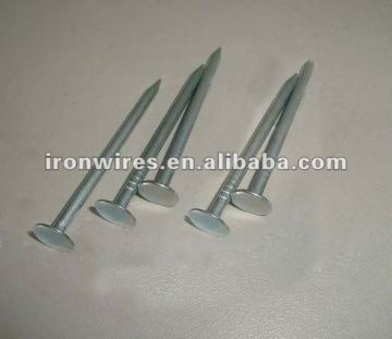 Galvanized roofing nails Q195