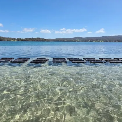 Oyster culture equipment Professional oyster farming bag