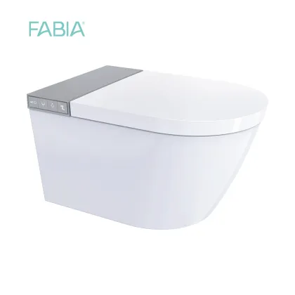 Smart Wall Mounted Toilet System