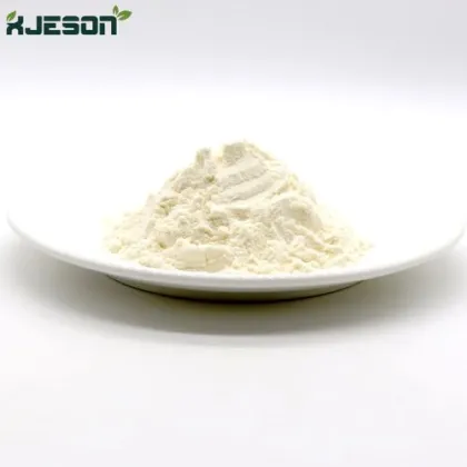 High quality Camel colostrum freeze-dried powder