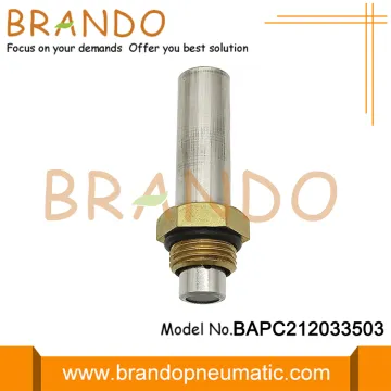 LPG CNG Reducer Solenoid Armature Plunger Assembly