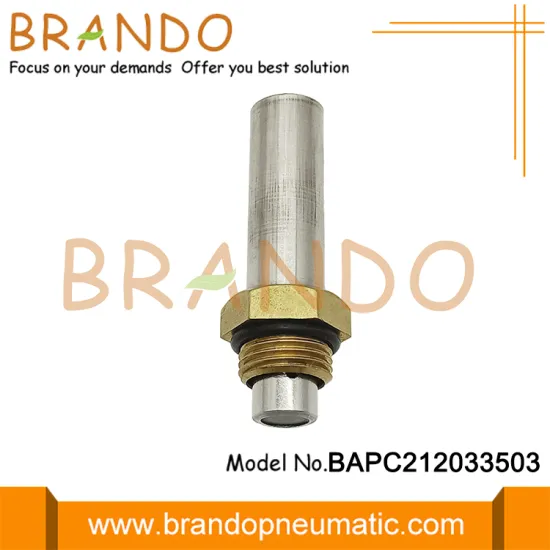 LPG CNG Reducer Solenoid Armature Plunger Assembly