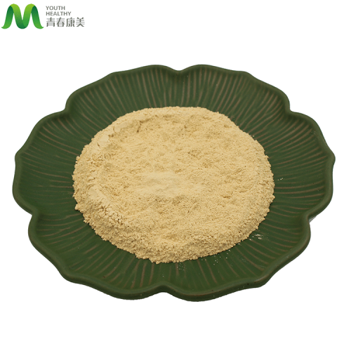 Ginseng Root Powder Good Water Soluble Panax Ginseng Extract Powder Manufactory