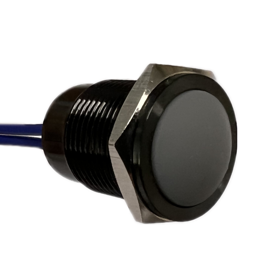 IP68 LED Metal pushbutton switch