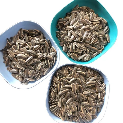 Long Shape Sunflower Seeds With Competitive Price