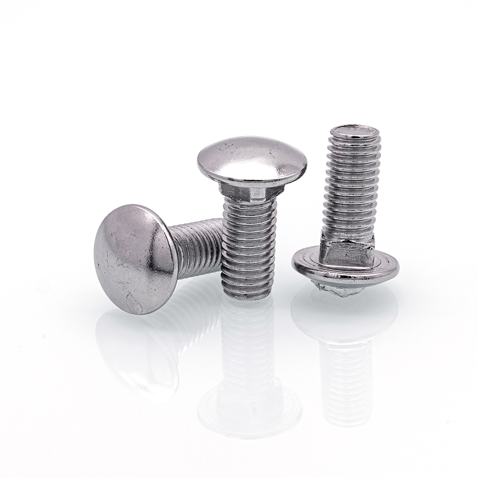 Ss304 Round Head Bolt