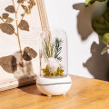 Flower Usb battery operated mini air Aroma Diffuser