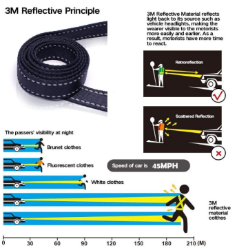 Pelatihan Walking Dog Lead