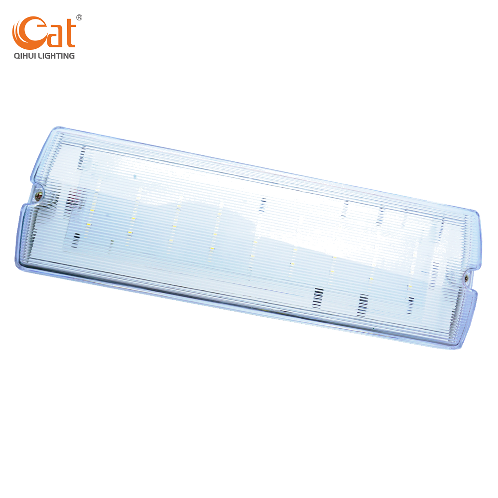 Surface Emergency Bulkhead Led Lamp