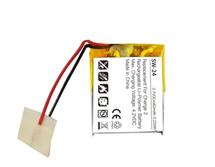 Fitbit Charge 2 wristwatch battery