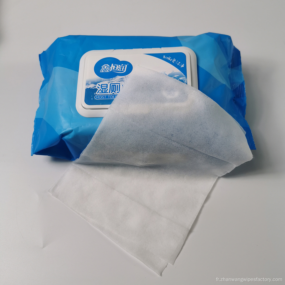 Lingettes humides jetables dans les toilettes pour adultes