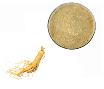 Ginseng Extract ginsenosides panax ginseng Powder