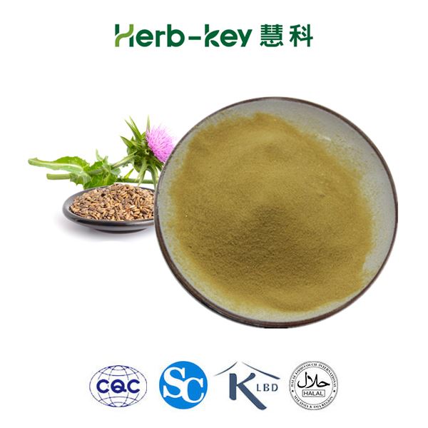 Milk Thistle Extract Silymarin UV, 30% Silibinin