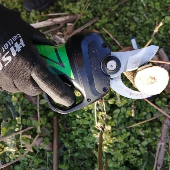 Rechargeable Lithium Battery-Powered Electric Pruning Shears for Professional Garden Tools