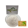 /msite/products/detail/productid/63489296/id/1521433.html