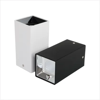 IP65 Outdoor LED IP44 18W Hi-Tech Downlight
