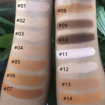 Oil-Control Waterproof Long-Lasting Matte Compact Powder - 15 Colors Full Coverage Setting Powder